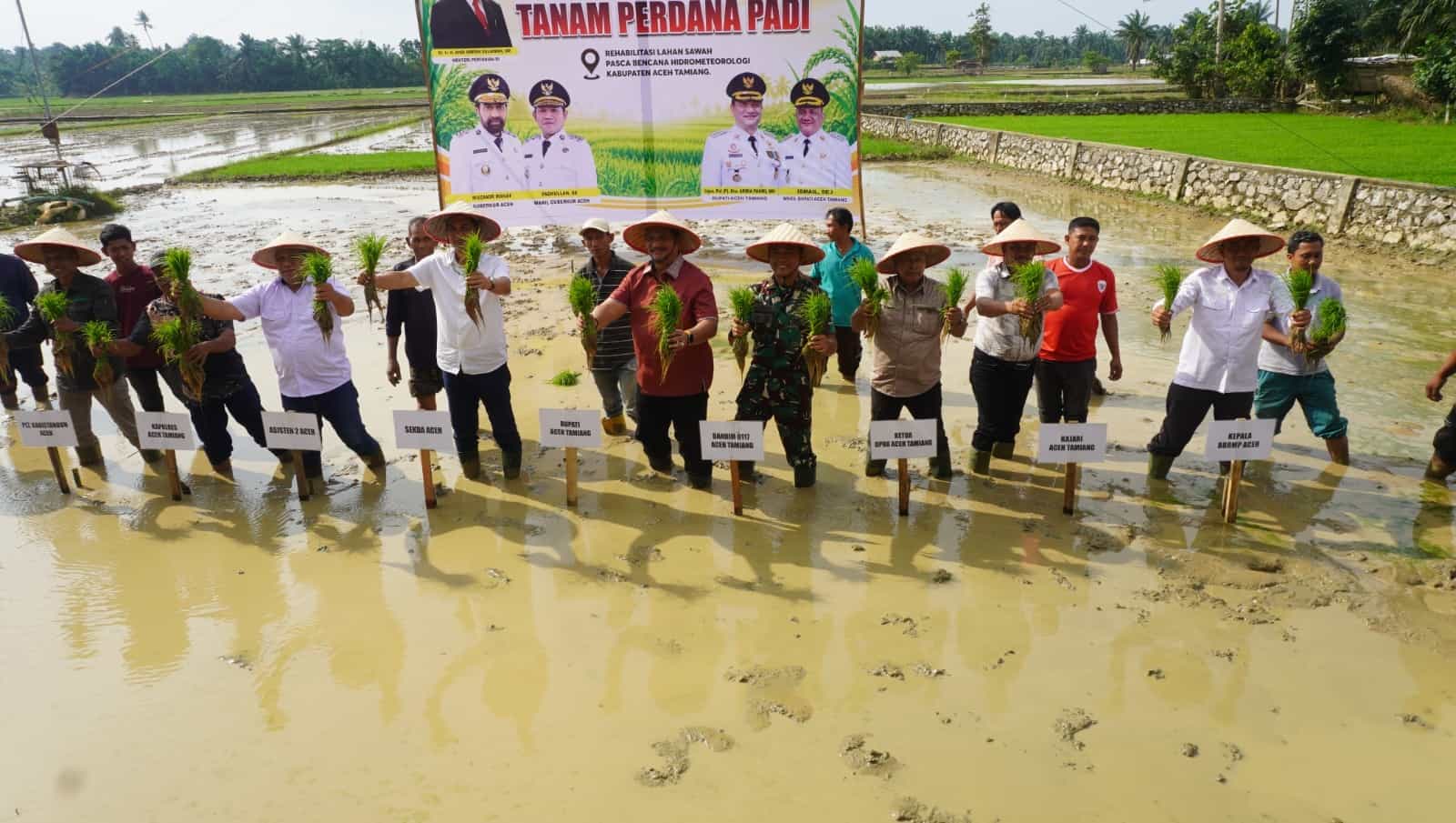 Dongkrak Kesejahteraan Petani, Pemerintah Aceh Pacu Pemulihan 57 Ribu Hektare Sawah Pascabencana