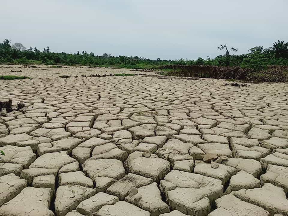 Tampung Aspirasi Petani, Stafsus Gubernur Aceh Dorong Percepatan Pemulihan 16 Ribu Hektar Sawah Rusak