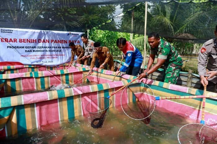 Wakili Bupati, Kepala DKP Aceh Barat Tebar Benih dan Panen Raya Ikan Lele