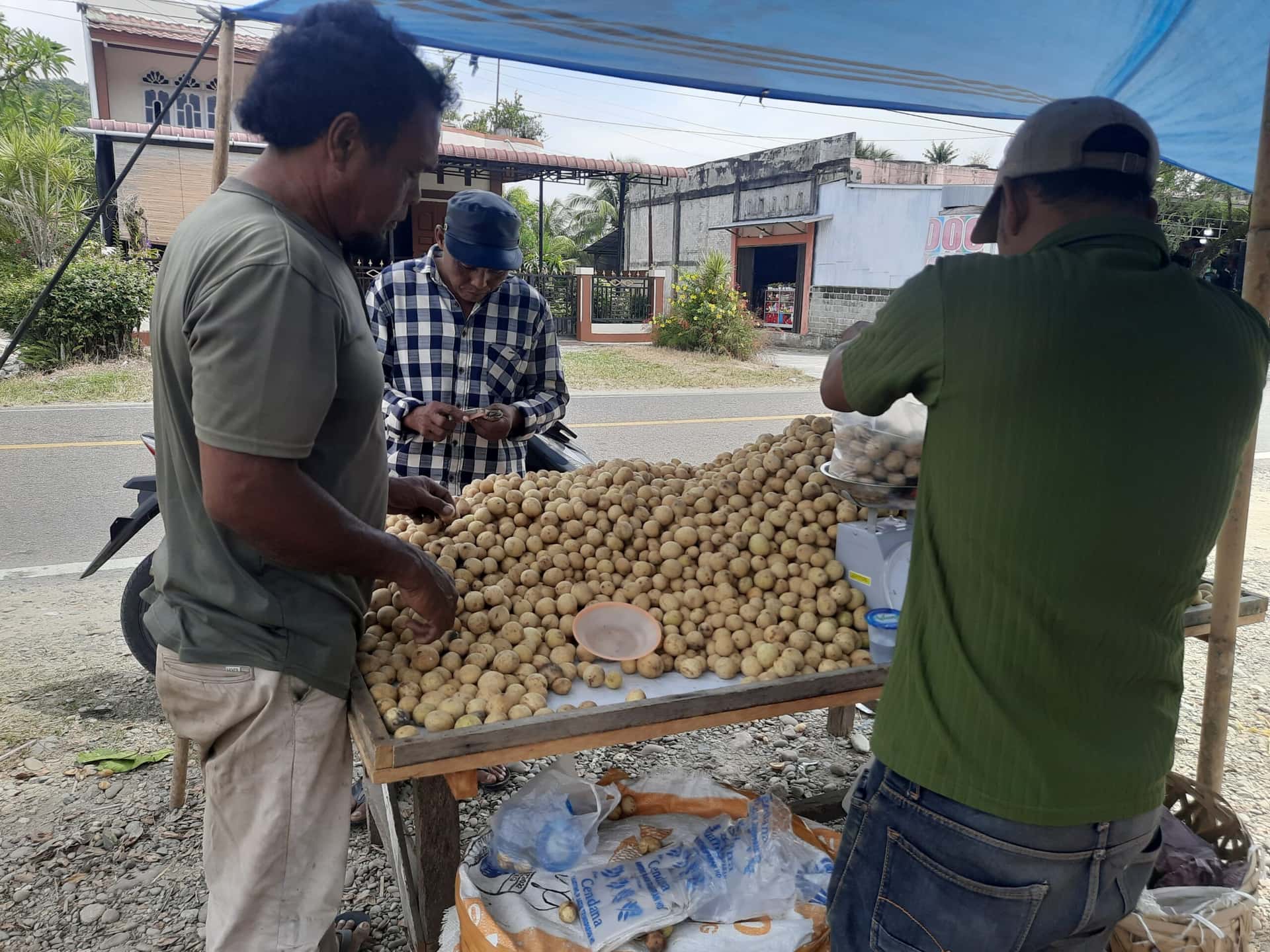 Petani Lokal Belum Panen, Pasokan Langsat Asal Kutacane Dominasi Pasar Musiman di Aceh Selatan
