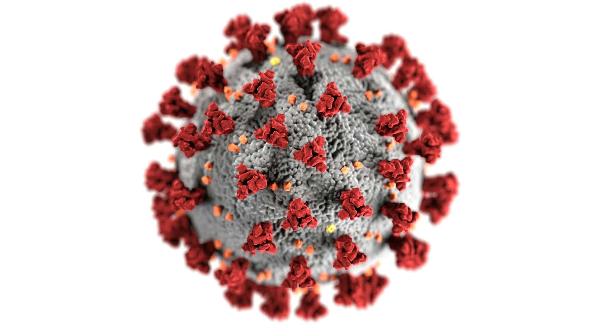 Waspada! Varian “Super Flu” Sudah Masuk Indonesia, Kemenkes: Menular Cepat dan Incar Anak-anak