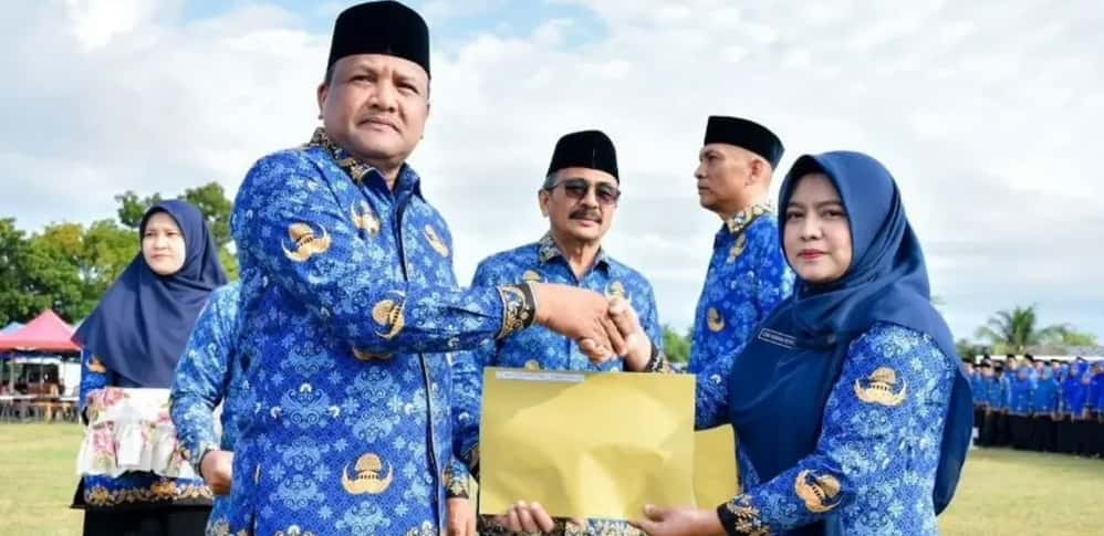 5.548 PPPK Paruh Waktu Terima SK, Bupati Bireuen Tegaskan Disiplin dan Kinerja ASN