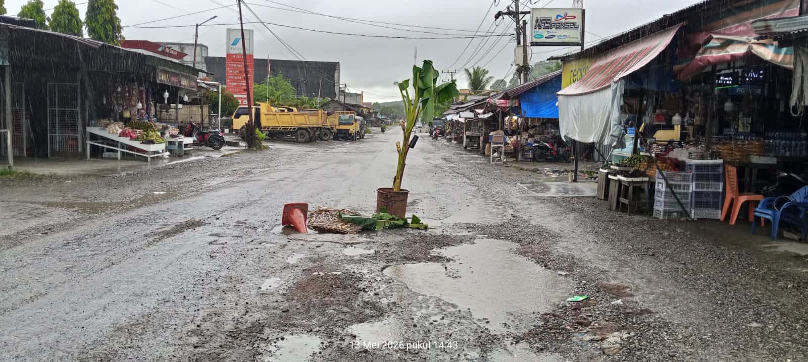Kesal Tak Kunjung Diperbaiki, Warga Labuhanhaji Barat Tanam Pohon Pisang di Jalan Nasional Lintas Medan-Banda Aceh