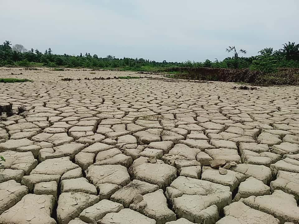 Tampung Aspirasi Petani, Stafsus Gubernur Aceh Dorong Percepatan Pemulihan 16 Ribu Hektar Sawah Rusak