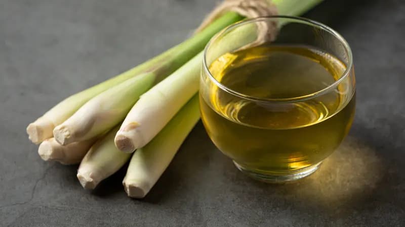 Resep Alami Dari Dokter Zaidul Akbar Untuk Mengatasi Asam Urat 