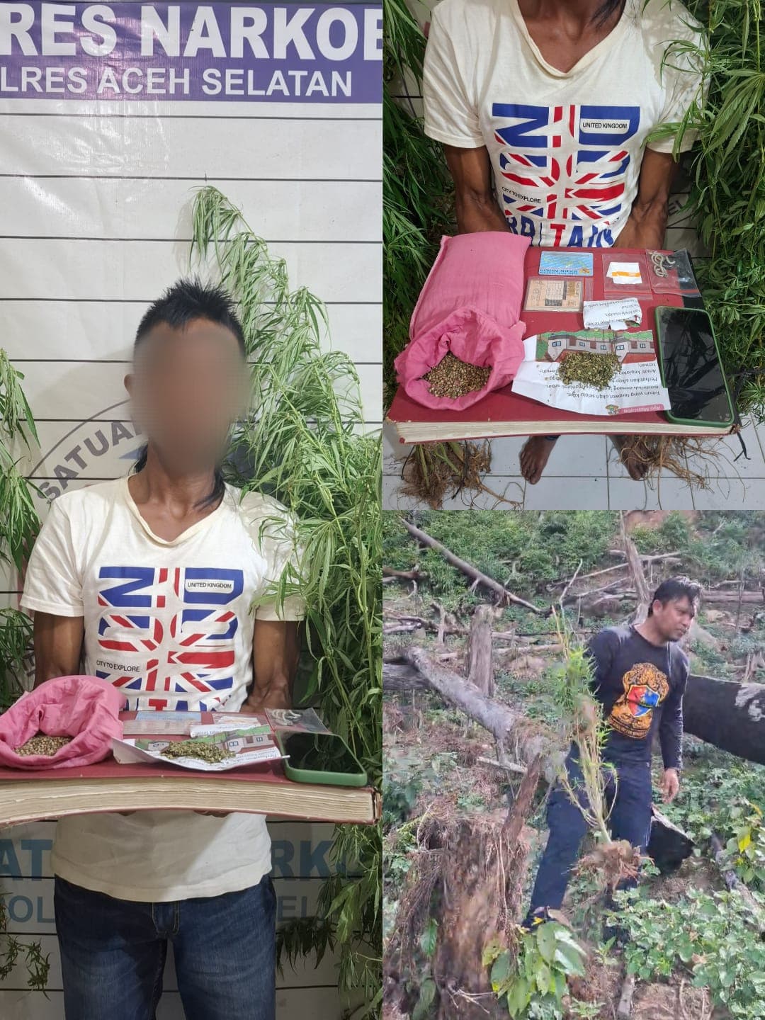 Polres Aceh Selatan Berhasil Musnahkan Ladang Ganja