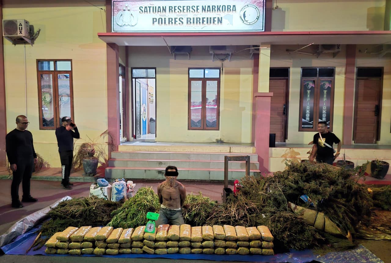 Polres Bireuen Berhasil Ungkap Kasus Narkotika, Satu Pelaku dan 154 Kg Ganja Diamankan