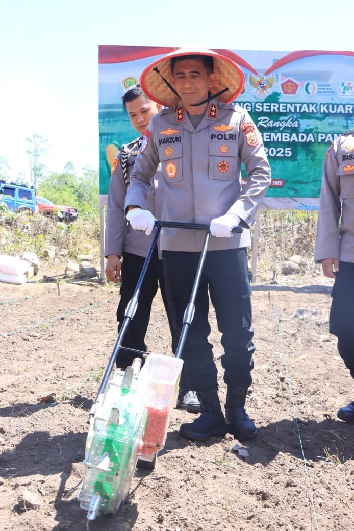 Kuartal IV, Polda Aceh Tanam Jagung di Lahan Seluas 347,87 Hektar
