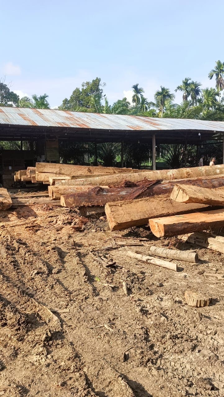 Sengkarut Kilang Kayu Jambo Dalem: Camat Mengaku “Tak Tahu”, DLH Pastikan Tak Ada Izin, KPH Masih Bungkam