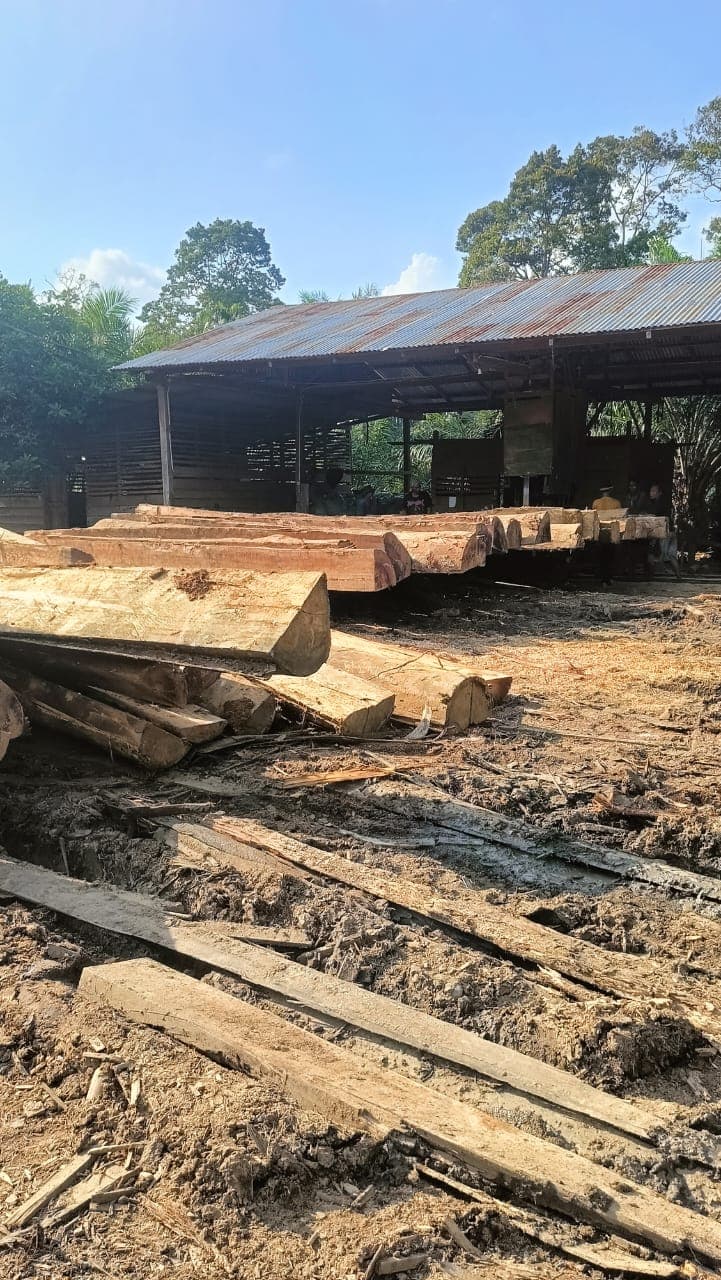 Kilang Kayu di Jambo Dalem Diduga Ilegal, DPRK Aceh Selatan Desak APH Bertindak Tegas