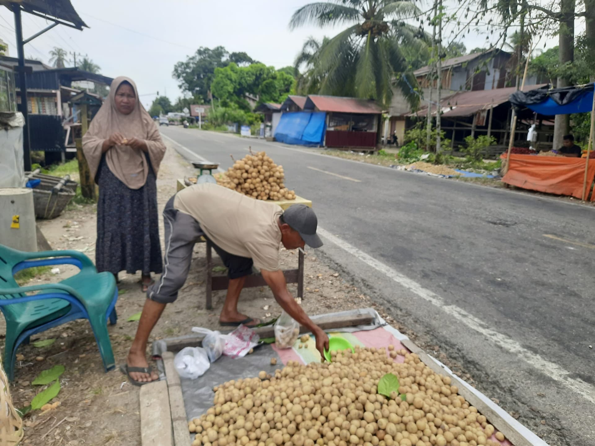 Musim Langsat Tiba, Pedagang di Jalur Lintas Kluet Utara Raup Berkah Ekonomi