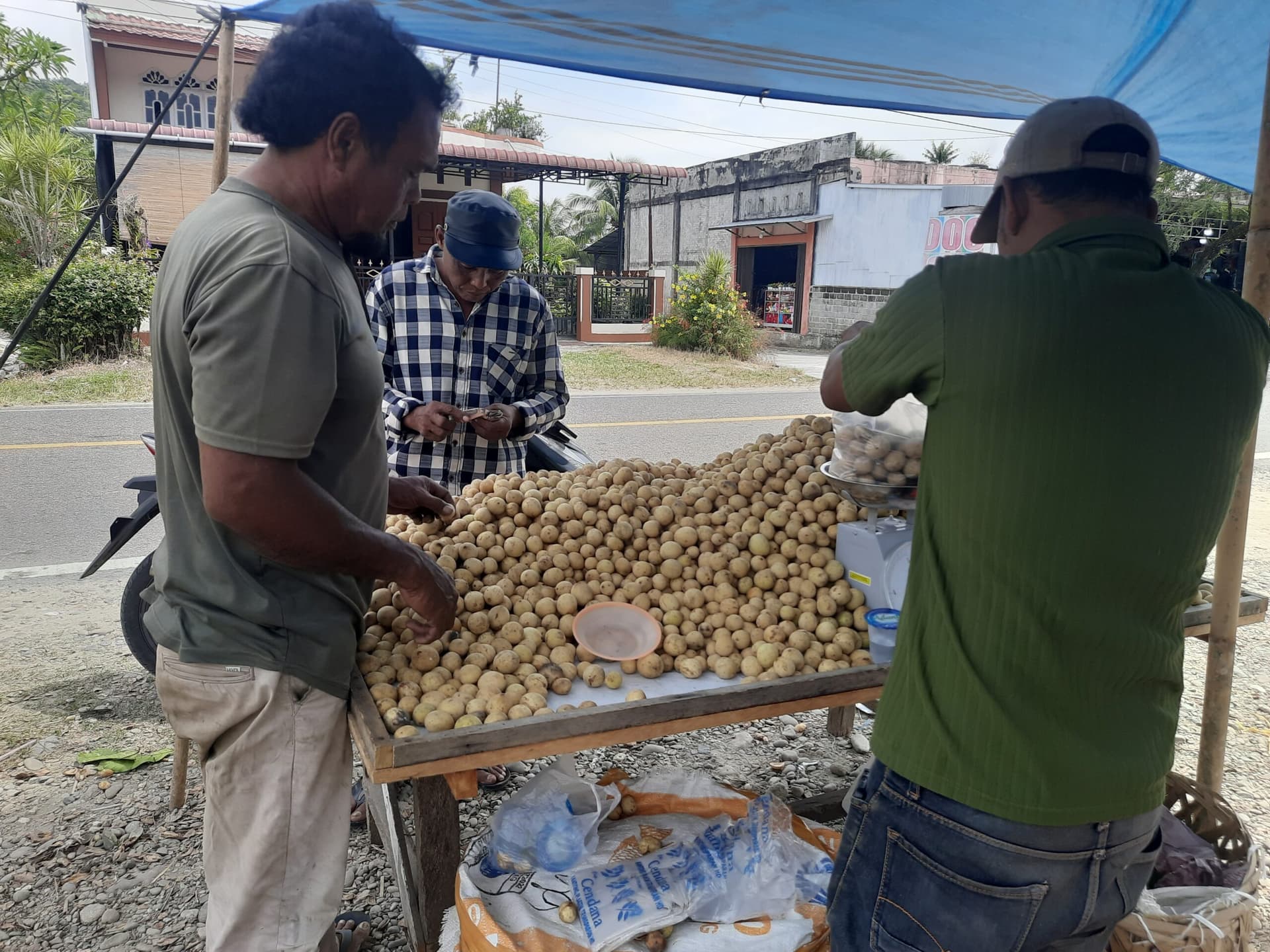 Petani Lokal Belum Panen, Pasokan Langsat Asal Kutacane Dominasi Pasar Musiman di Aceh Selatan