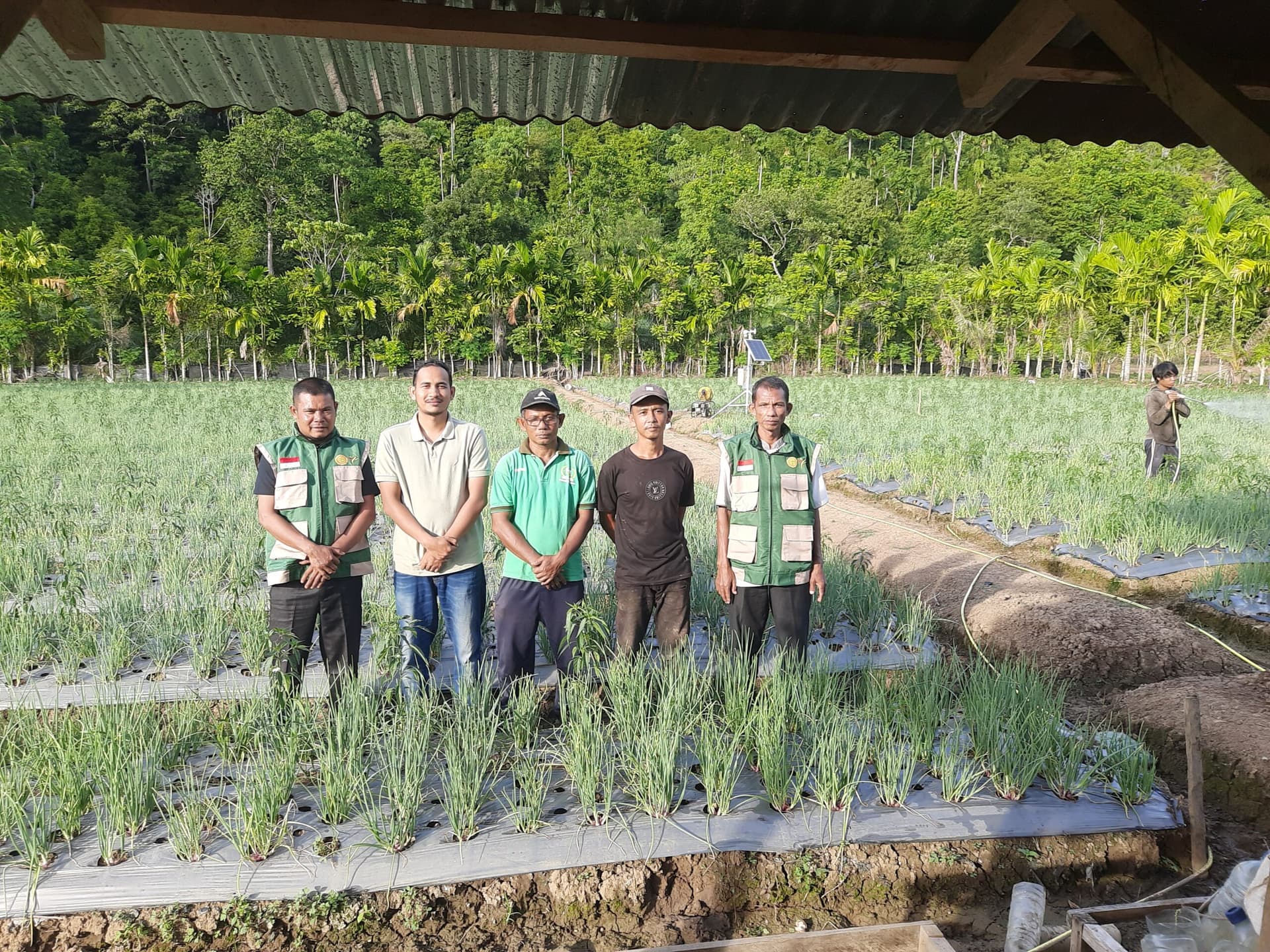 Bukan Sekadar Dokumen, Petani Pasie Raja Mulai Tanam 1 Ton Bibit Bawang Merah dari Dana DOKA