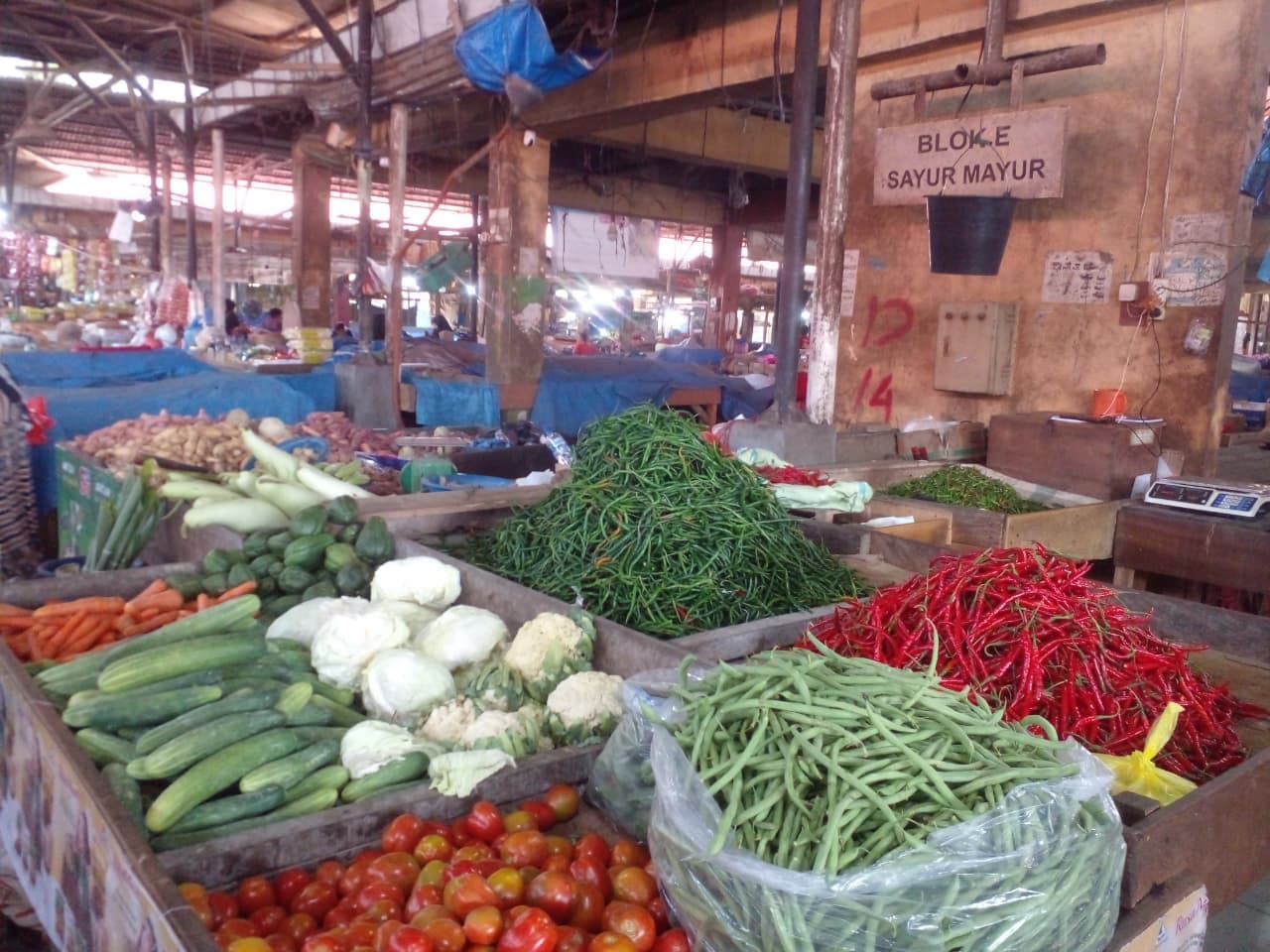 Belanja Dapur Tak Terganggu Emas, Harga Bahan Pokok di Pasar Induk Lambaro Tetap Stabil