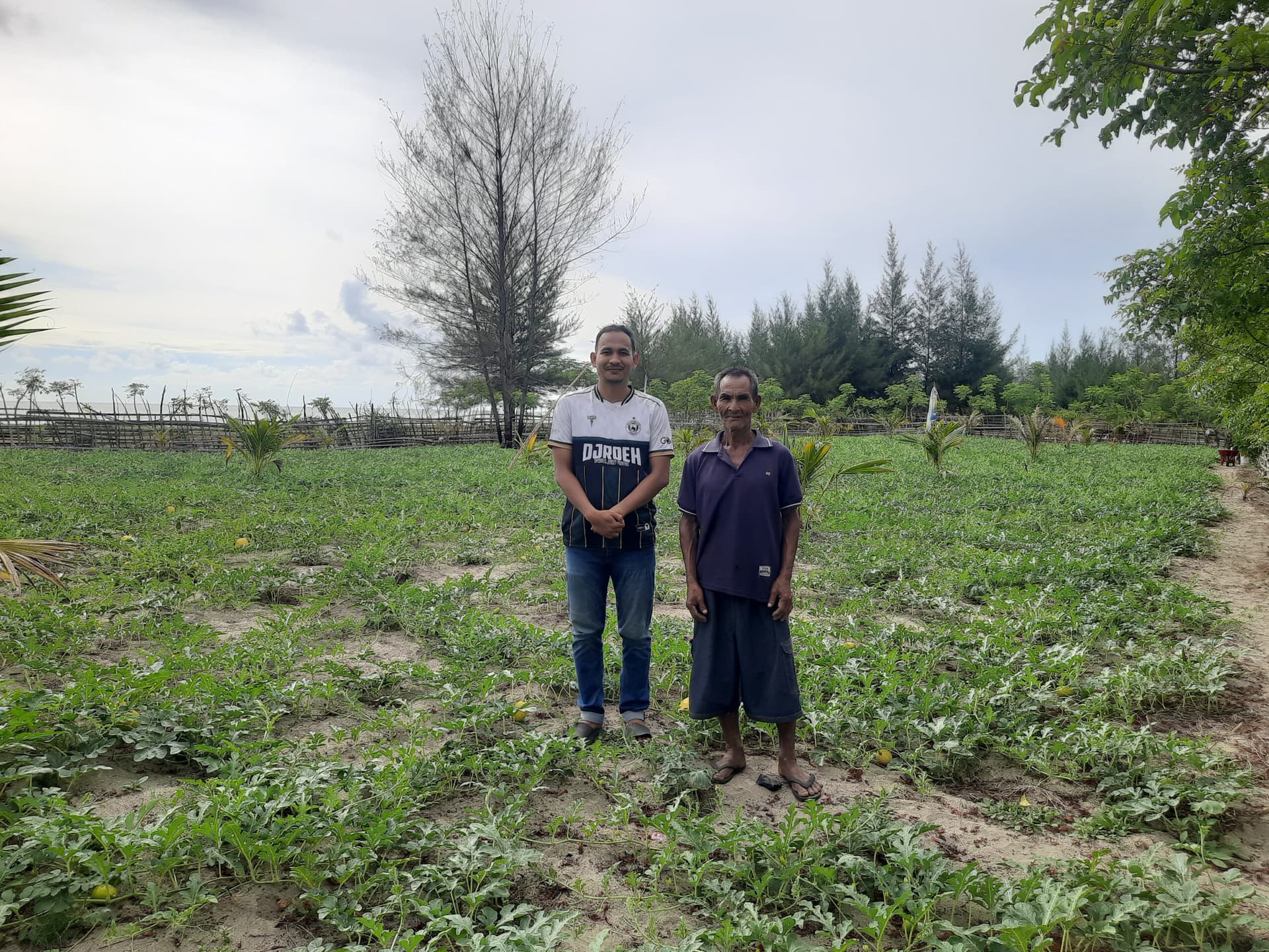 Menjemput Berkah Ramadan dari Lahan 3 Rantee: Petani Semangka Suak Bakong Targetkan Panen 2 Ton