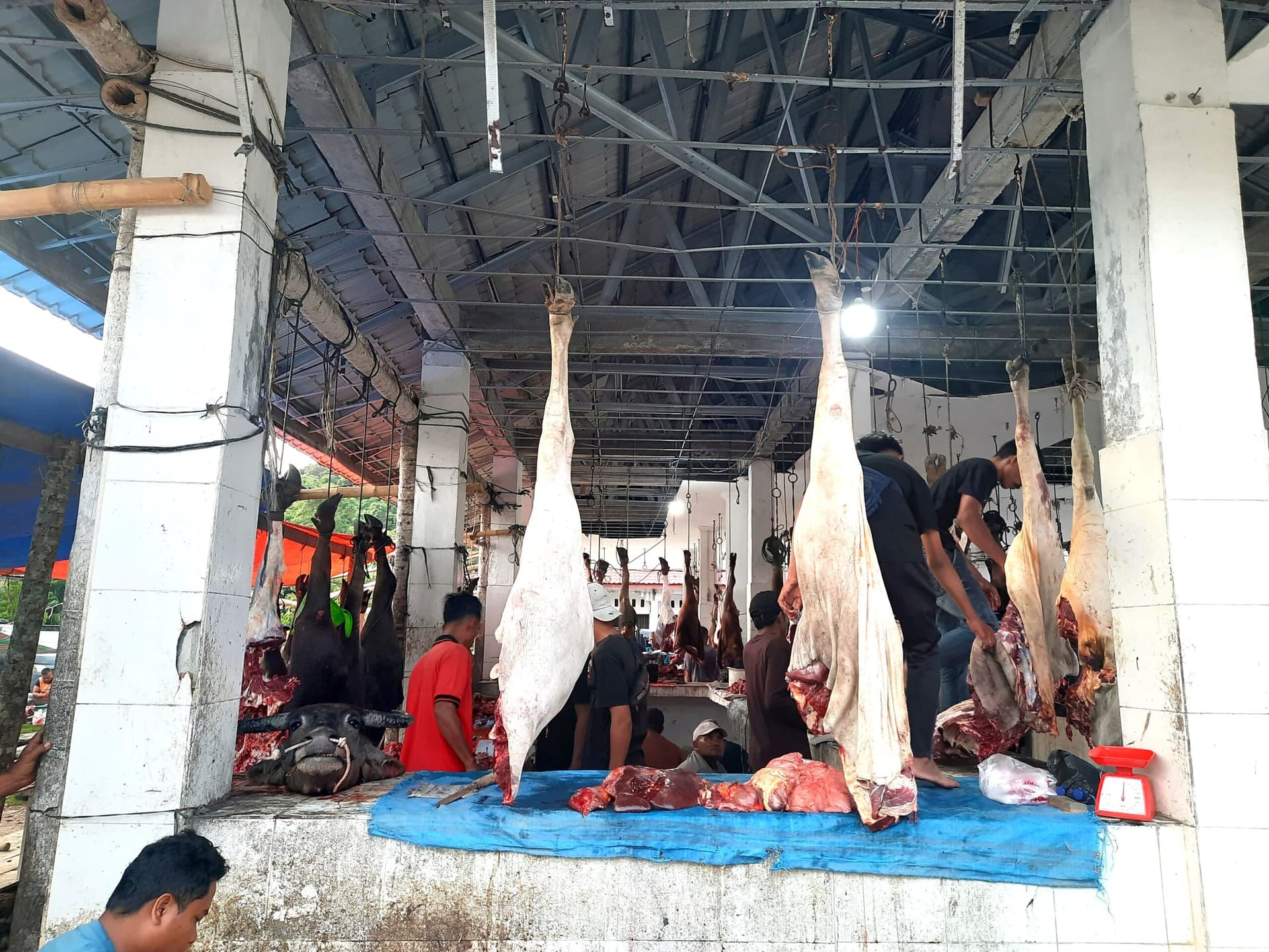 Warga Berburu Daging Meugang, Harga di Kluet Utara Tetap Stabil