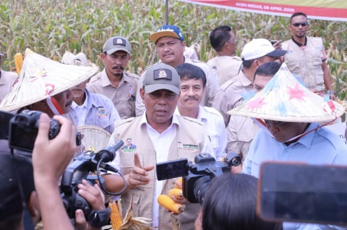 Panen Raya Jagung 100 Hektare di Indrapuri, Bukti Optimalisasi Lahan Tidur