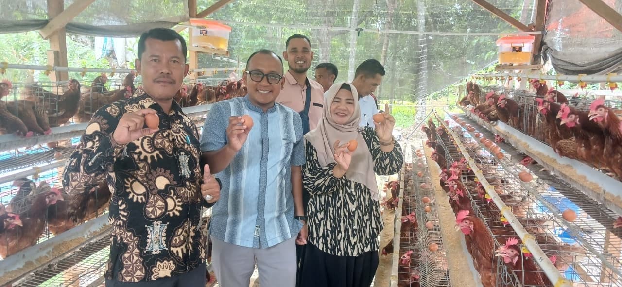 Kadis DPMG Aceh Selatan Apresiasi Pengelolaan Ayam Petelur BUMG Tunas Mudo Pulo Kambing