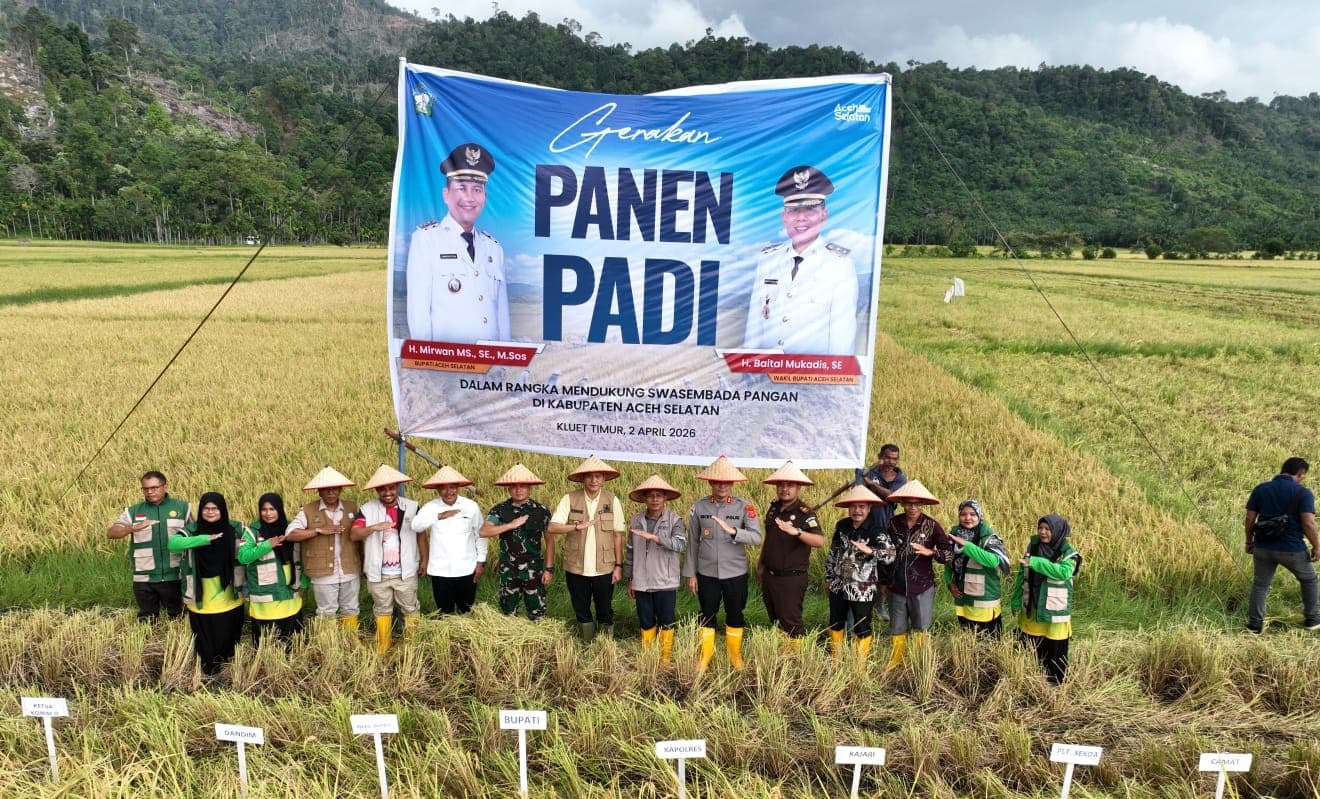 Panen Raya di Kluet Timur, Bupati Mirwan dan Kadis Pertanian Tegaskan Kesiapan Dukung Swasembada Pangan