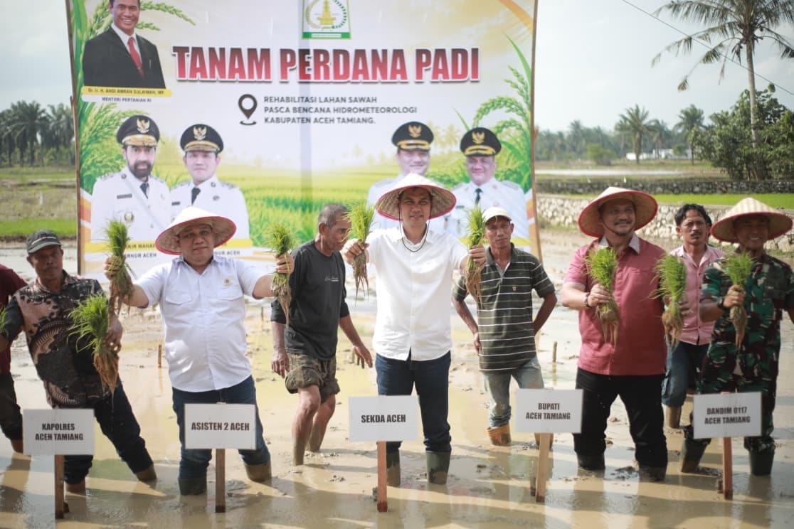 Pimpin Tanam Padi Perdana Pasca Bencana, Sekda Aceh : Jaga Stabilitas Pangan Tetap Aman