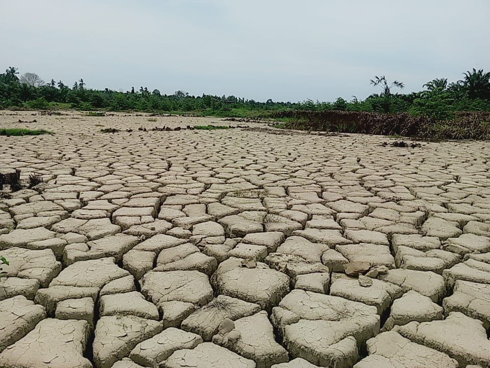 Tampung Aspirasi Petani, Stafsus Gubernur Aceh Dorong Percepatan Pemulihan 16 Ribu Hektar Sawah Rusak