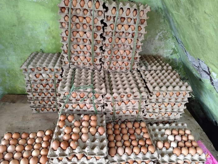 Harga Telur dan Cabai di Pasar Induk Lambaro Masih Stabil Jelang Idul Adha
