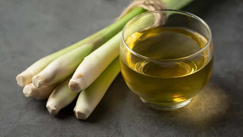 Resep Alami Dari Dokter Zaidul Akbar Untuk Mengatasi Asam Urat