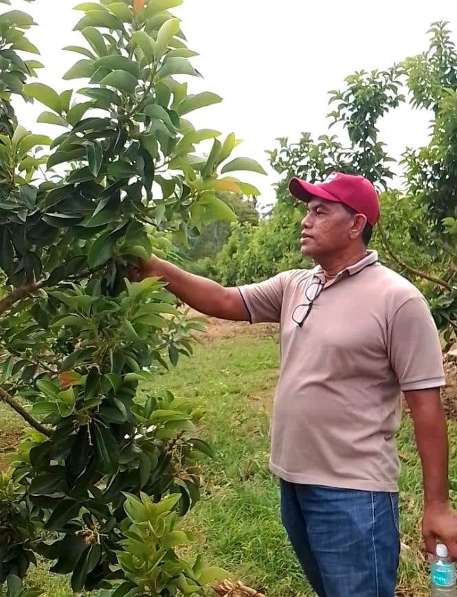 Selain sedekah oksigen: Kebun Pokat Terbesar Ditengah Kota Banda Aceh Ada Di Bitai