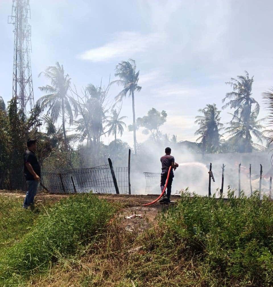 Kebakaran di Rukoh Sempat Dikira Pasar Lamnyong, Ternyata Kandang Ayam Praktik FKH USK Terbakar