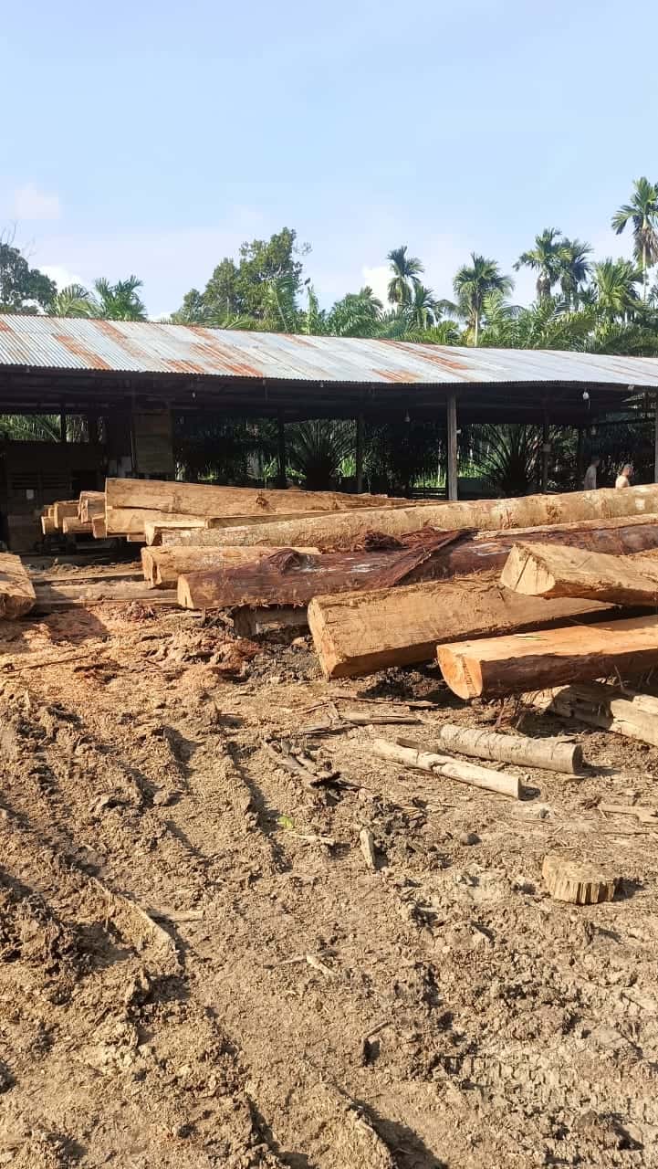 Sengkarut Kilang Kayu Jambo Dalem: Camat Mengaku “Tak Tahu”, DLH Pastikan Tak Ada Izin, KPH Masih Bungkam