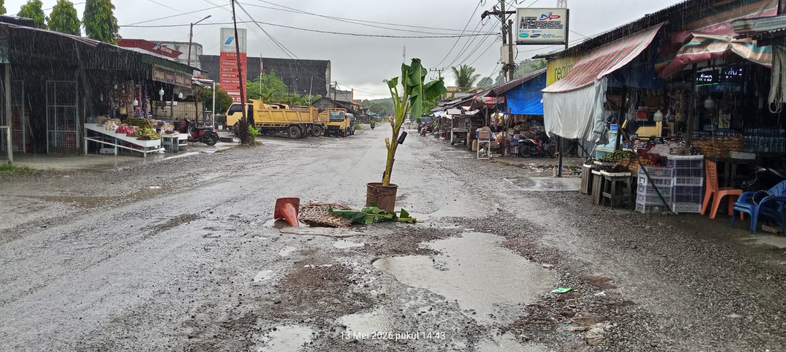 Kesal Tak Kunjung Diperbaiki, Warga Labuhanhaji Barat Tanam Pohon Pisang di Jalan Nasional Lintas Medan-Banda Aceh