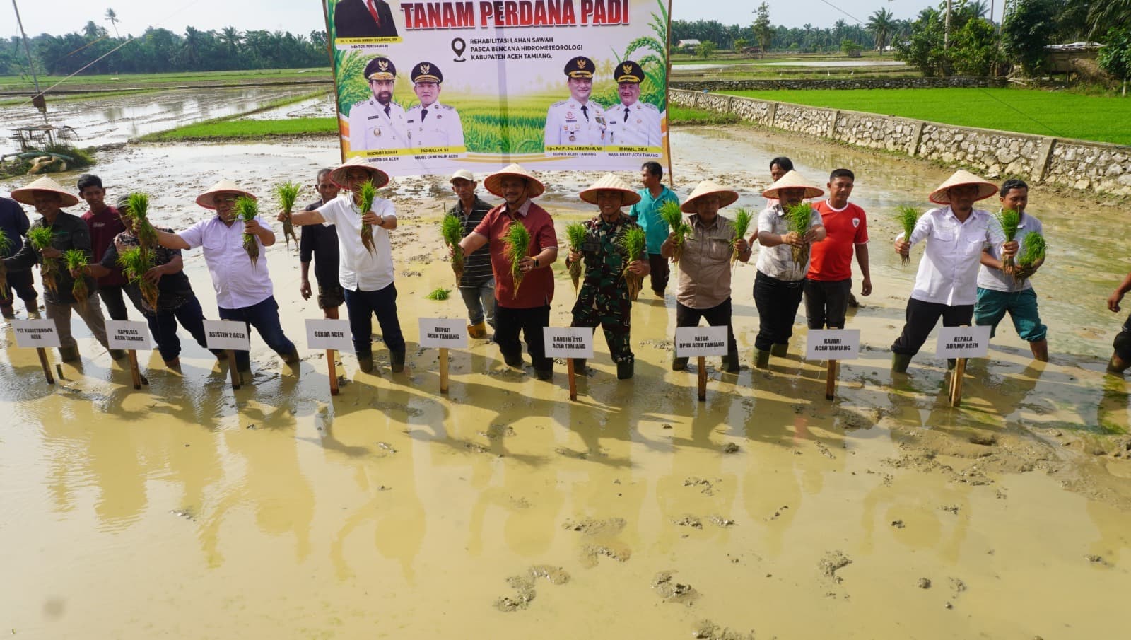 Dongkrak Kesejahteraan Petani, Pemerintah Aceh Pacu Pemulihan 57 Ribu Hektare Sawah Pascabencana