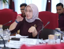 Dear Honorer! Masih Mau Diangkat Jadi PPPK ?