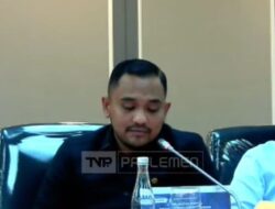 Anggota DPR-RI Asal Aceh,Sorot Kedatangan Etnis Rohingya