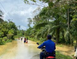 BPBD Mencatat Ada 232 Jiwa Terdampak Banjir Di Aceh Barat
