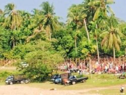 Dualisme Lokasi Pemotongan Hewan Meugang di Abdya