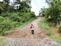 Jalan Lintas Gampong Alue Empeuk Rusak Parah, Keuchik Surati PUPR Aceh Barat