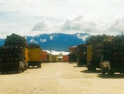 PMKS PT MSB Namo Buaya Langgar Kesepakatan  Pemko Subulussalam Pabrik Masih Buka Tutup