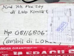 Laboratorium USK Gagal Uji Penyebab Ikan Mati di Sungai Lae Batu-batu