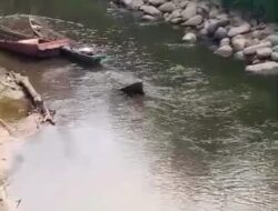 Sungai Krueng Luas Tercemar, Anggota DPRK Minta Bupati Bertindak Cepat