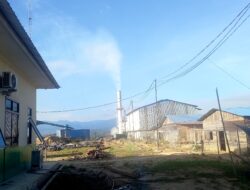 Surat Penghentian Operasional PT MSB dari Pemko Subulussalam Tak Digubris Gubernur, Pabrik Masih Beroperasi