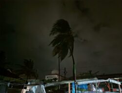 Angin Kencang Landa Banda Aceh, Warga Darussalam Khawatir Pohon Tumbang