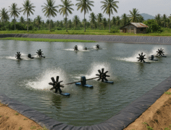 Bantuan Tambak HDPE dan Harapan Pemberdayaan yang Tidak Boleh Gagal