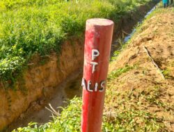 Tanpa HGU, Aktivitas PT ALIS Ancam Jantung Ekosistem Leuser di Rawa Singkil