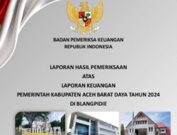 WTP Ke-10 Abdya Dikelilingi Tanda Tanya, FORMAKI Desak Transparansi Tindak Lanjut Temuan Kritis BPK