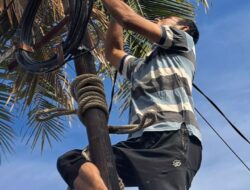 Aksi Bahaya Pemutusan Listrik di Banda Aceh, Aktivis Beberkan Potensi Jerat Hukum dan Kelalaian Korporasi