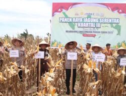 Kapolda Panen 24,5 Ton Jagung pada Kuartal III di Aceh Jaya