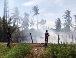 Kebakaran di Rukoh Sempat Dikira Pasar Lamnyong, Ternyata Kandang Ayam Praktik FKH USK Terbakar
