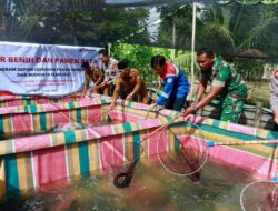 Wakili Bupati, Kepala DKP Aceh Barat Tebar Benih dan Panen Raya Ikan Lele