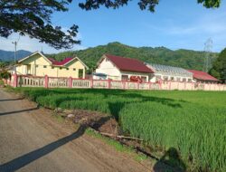 Progres Dua Proyek Revitalisasi SMAN 1 Labuhanhaji Timur Tembus 86%, Patut jadi Motivasi bagi lainnya